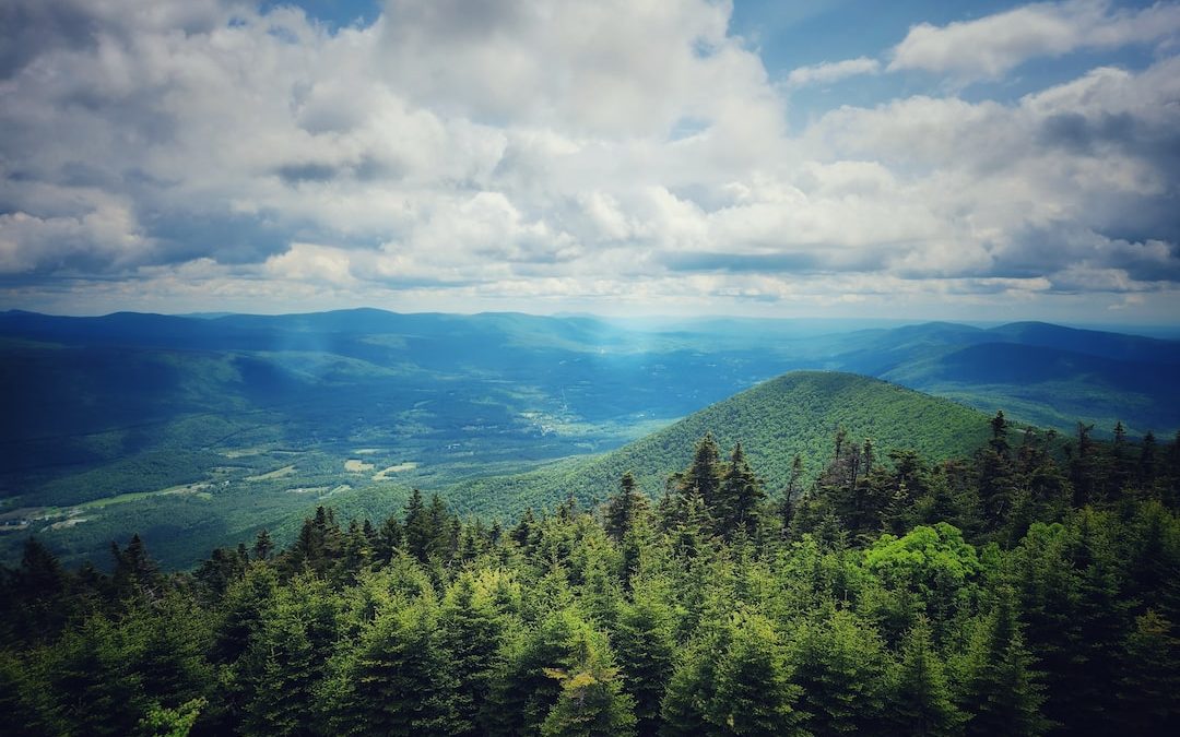 a scenic view of the mountains and trees