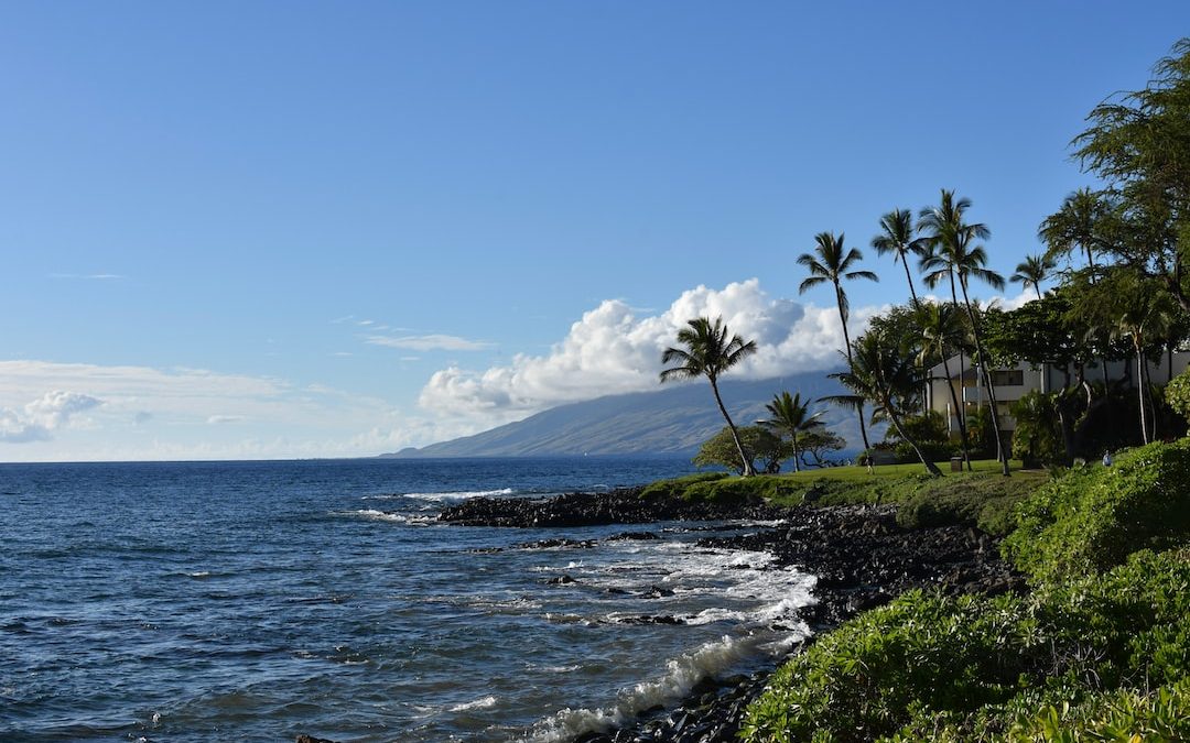 a beach with palm trees and a mountain in the background