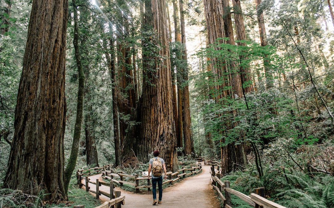 man wearing gray T-shirt standing on forest