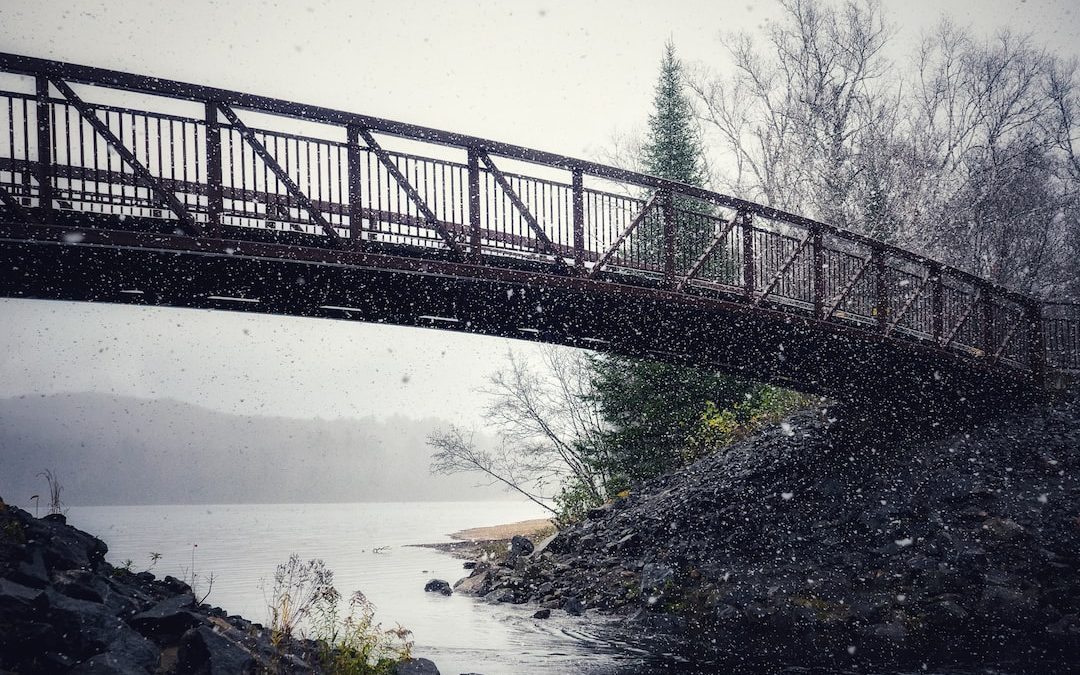 black metal bridge over river