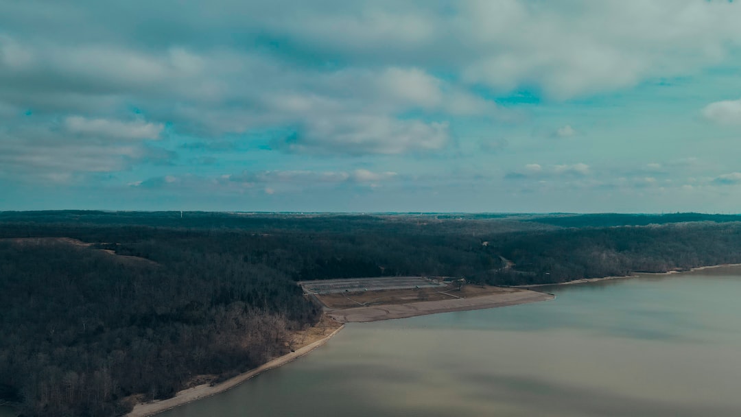 a river with a road and trees