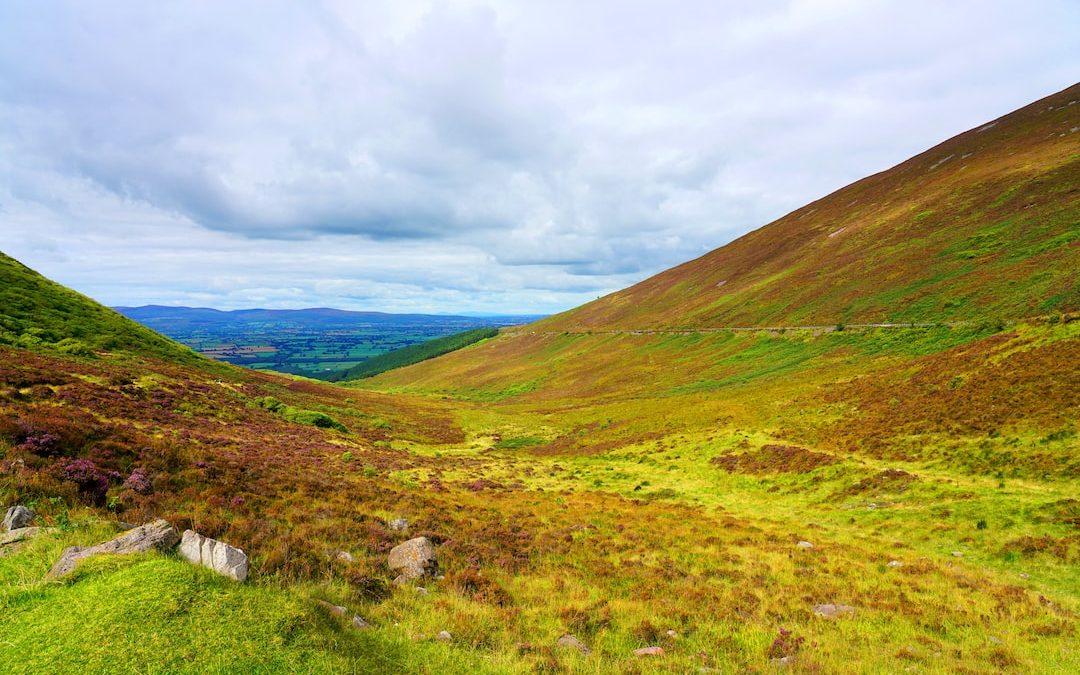 a grassy valley with mountains in the background