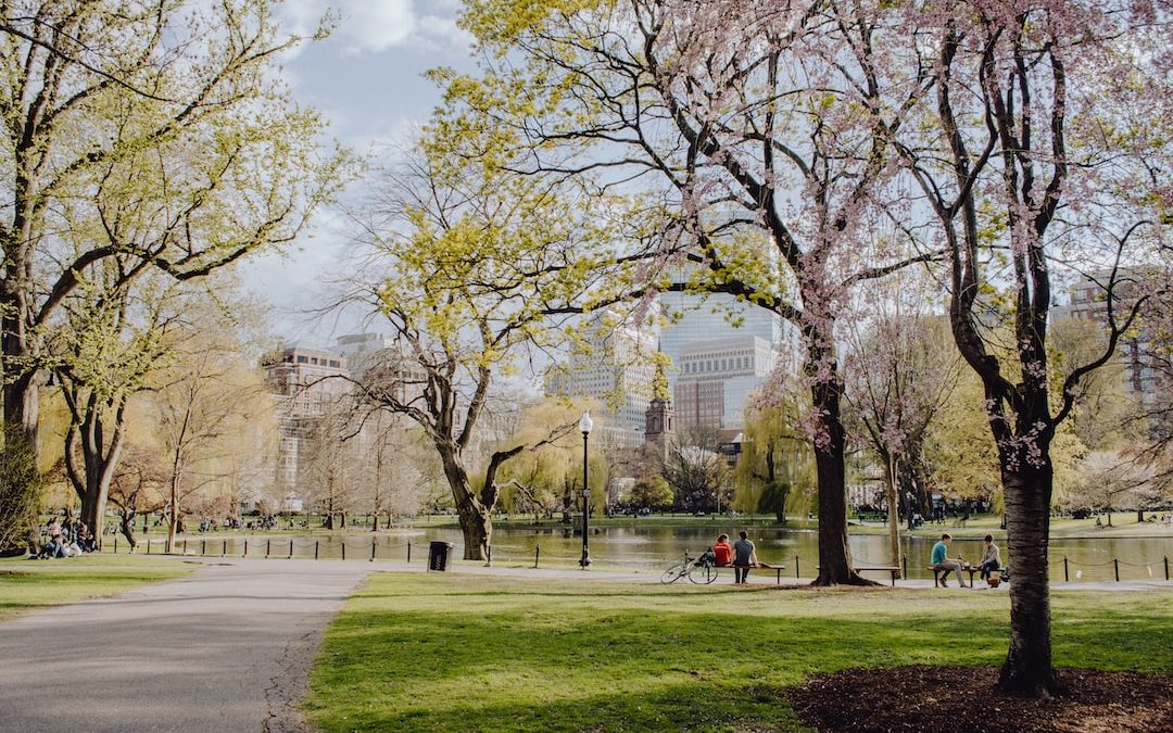 people walking on park during daytime