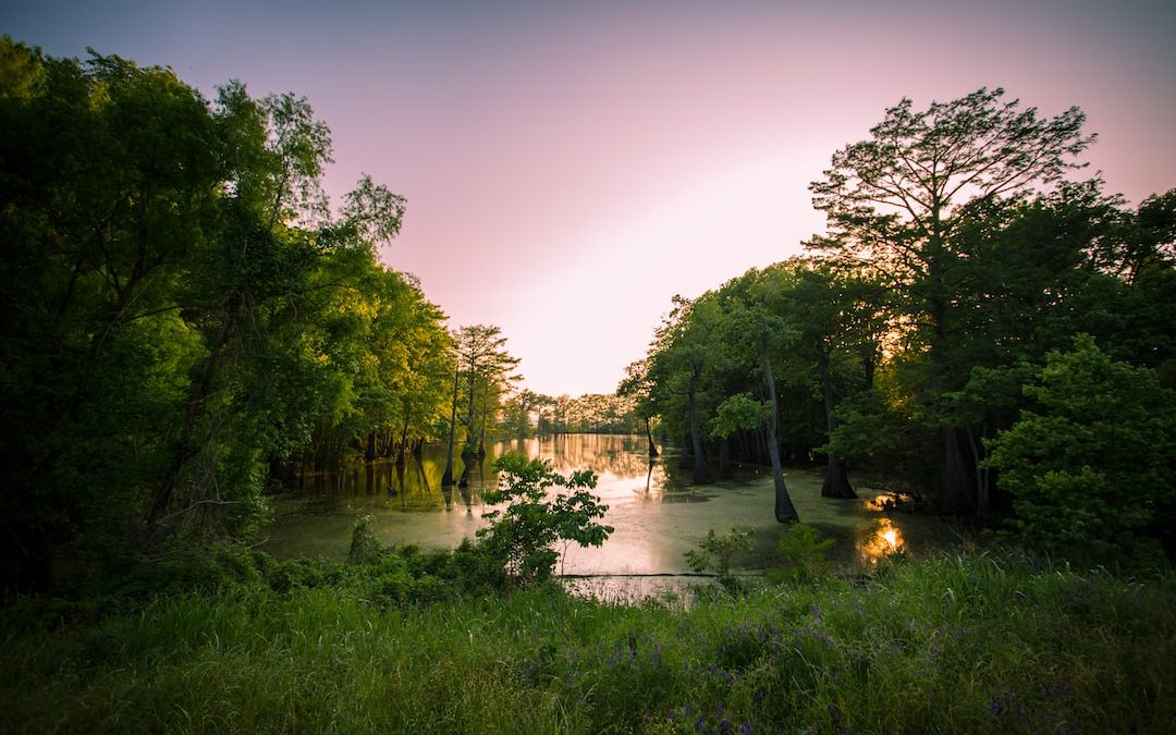 a lake surrounded by lush green trees under a purple sky