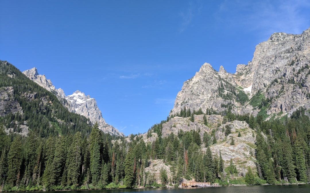 green trees near lake and mountain under blue sky during daytime