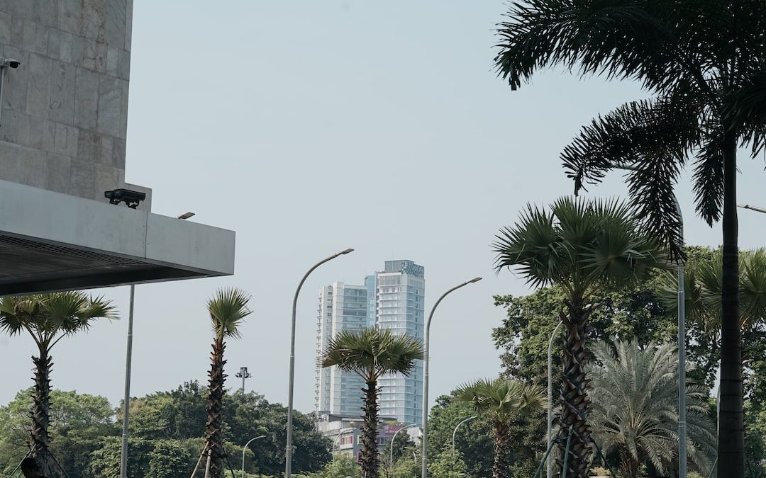 a city street with palm trees and tall buildings in the background