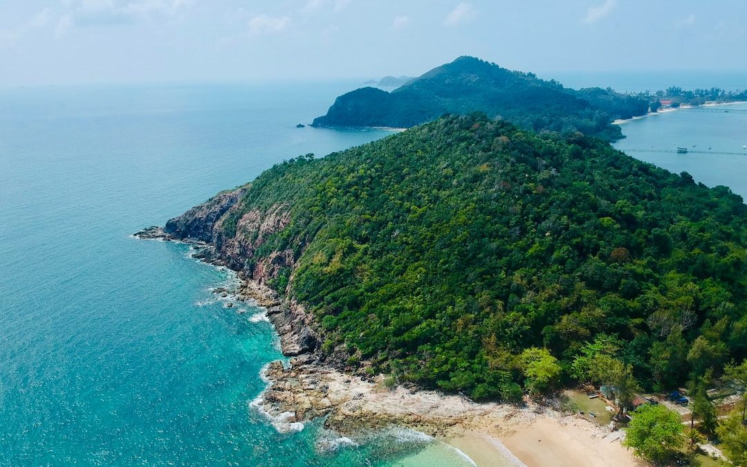 green trees on mountain beside sea during daytime