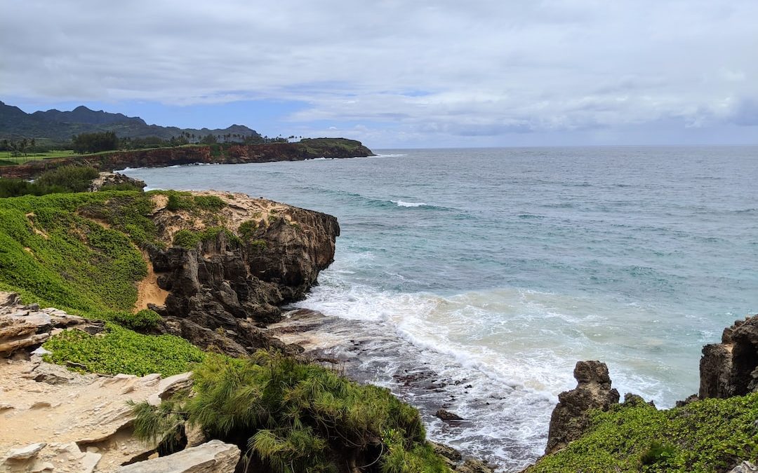 brown rocky shore near body of water during daytime