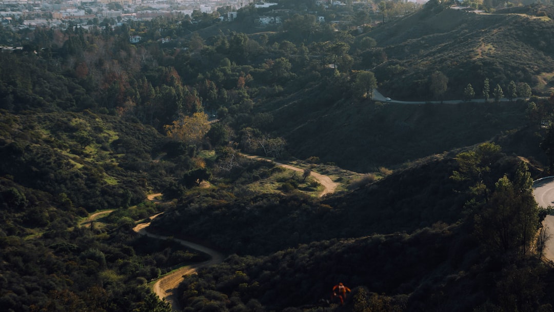 aerial view of green trees and mountains during daytime