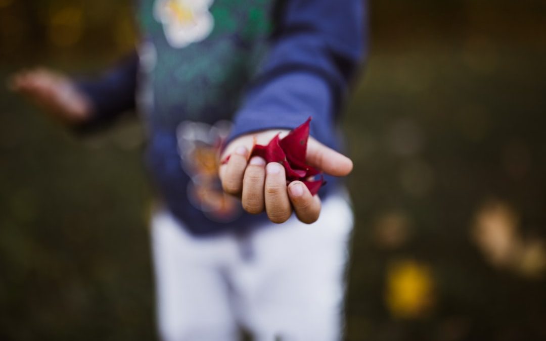 boy holding red petals