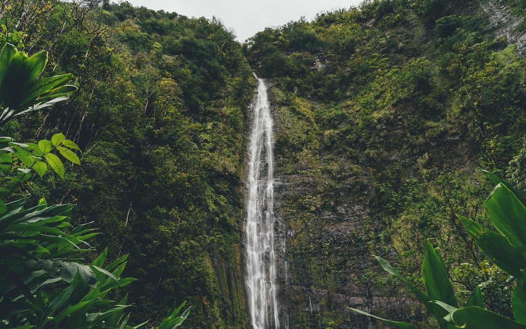 waterfall near green-leafed trees