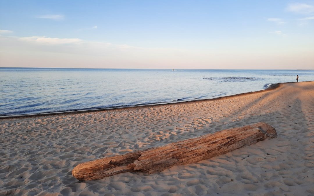 a log on a beach