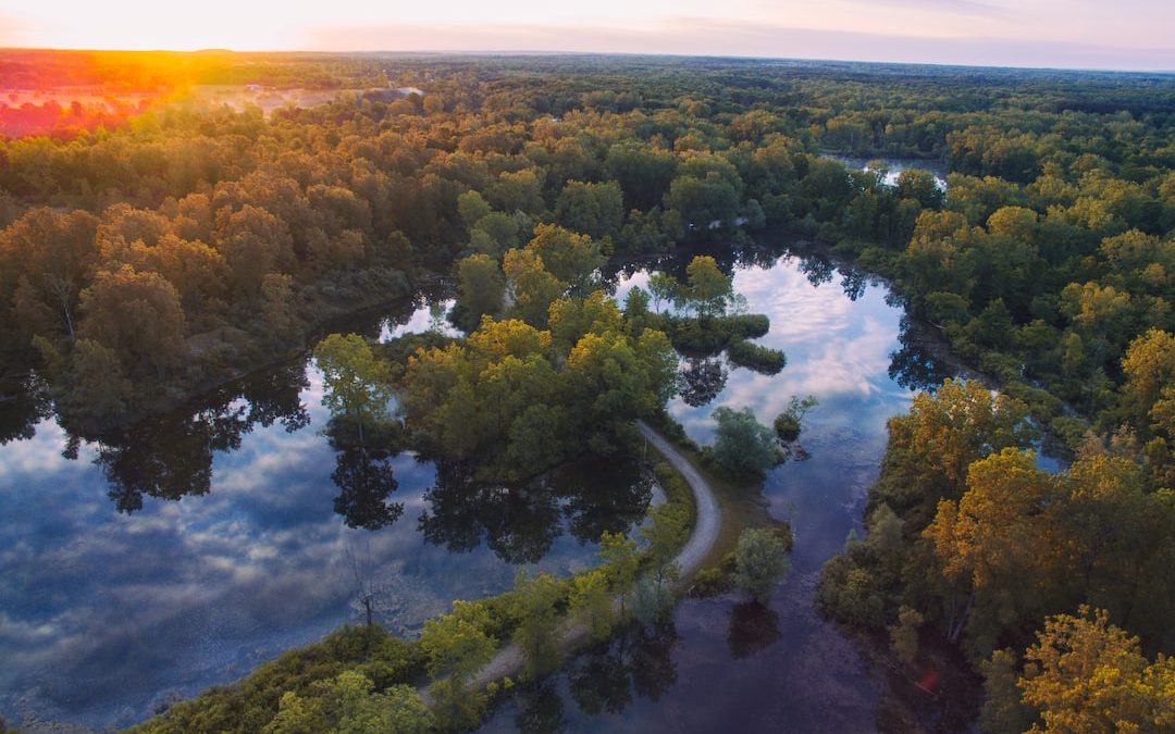 high angle photography of trees beside river