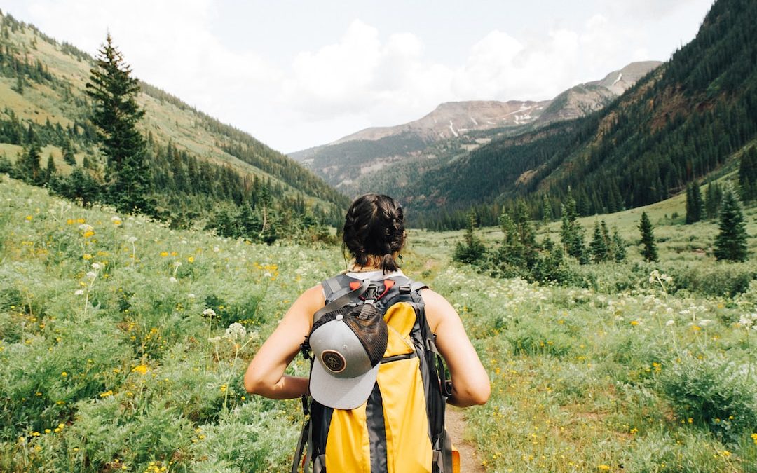 person carrying yellow and black backpack walking between green plants