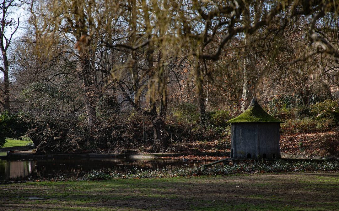 a small outhouse in the middle of a forest