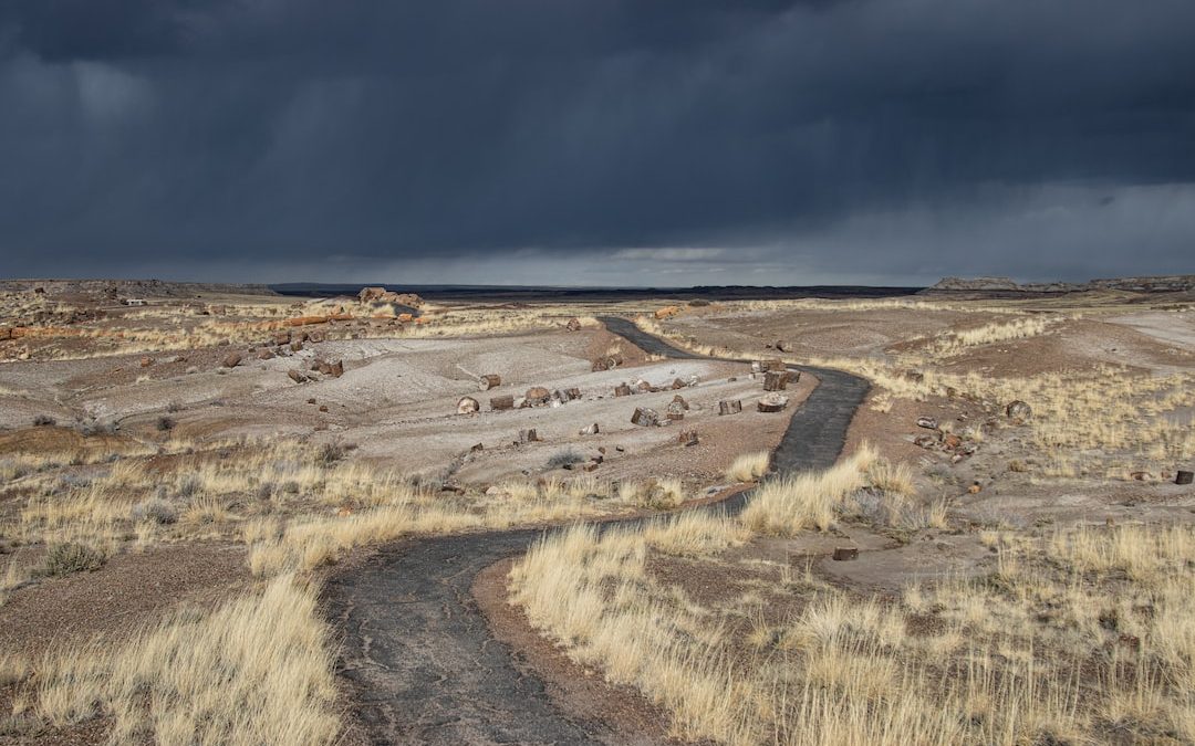 a dirt road in the middle of a dry grass field