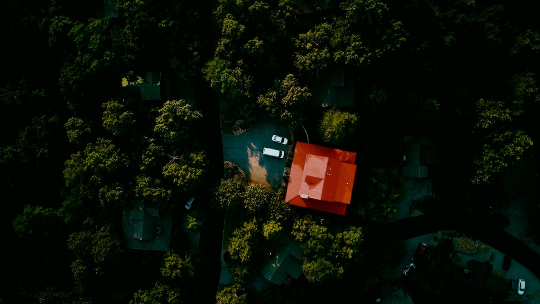 green trees and red box