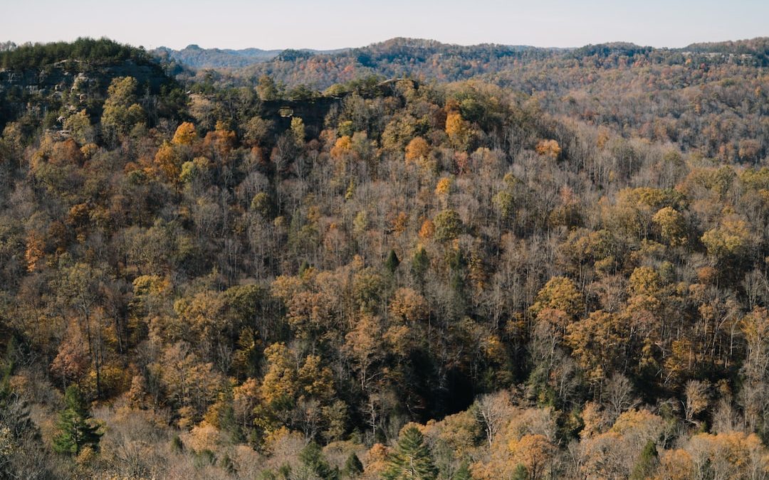 The Best of Kentucky’s Natural Landscapes