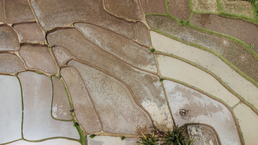 a cracked brick wall