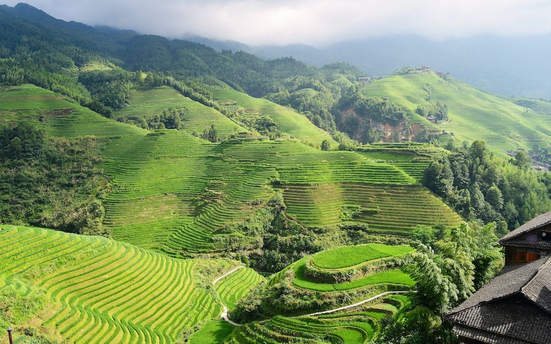 landscape of mountain