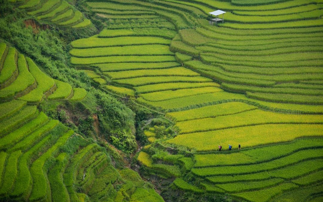 aerial photography of green mountain