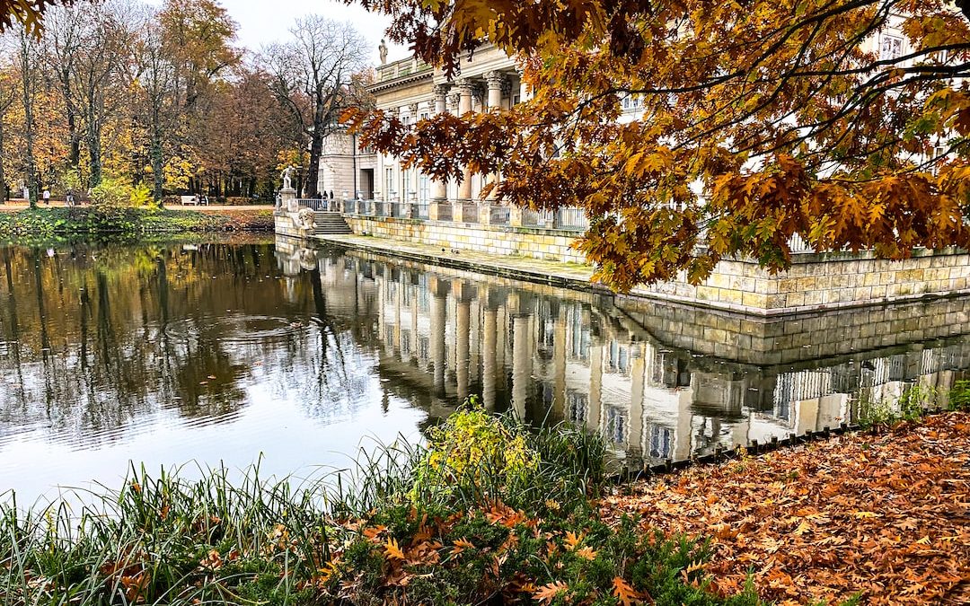 a pond with a building in the background