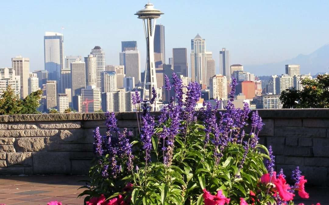 a view of the seattle skyline and the space needle