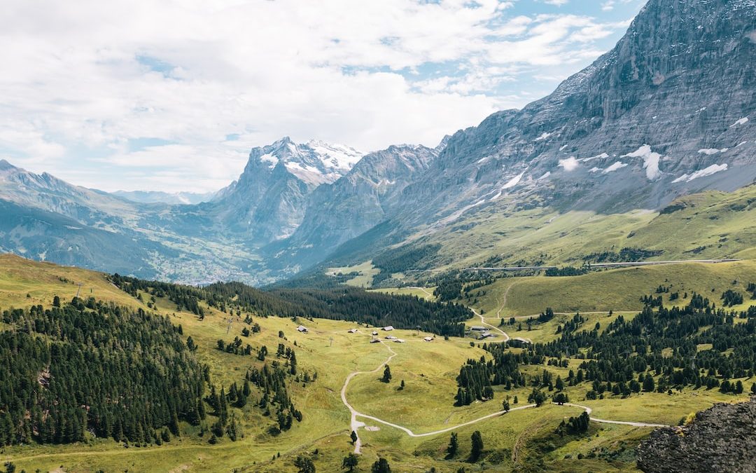 mountain filled with trees during daytime