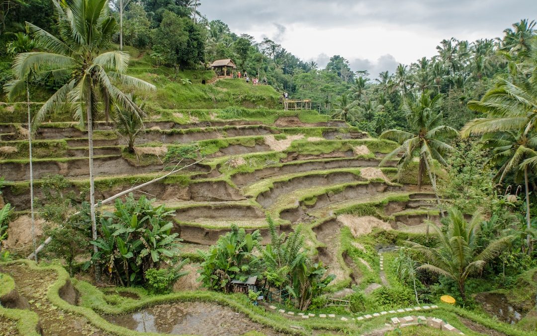 Banaue rice terraces, Philippines