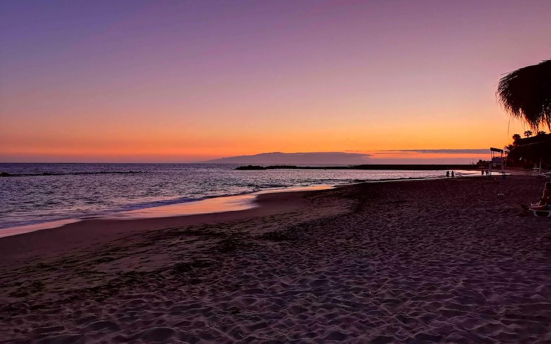 a sunset on a beach with palm trees