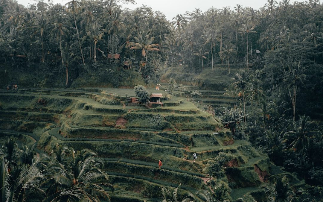 green covered mountain