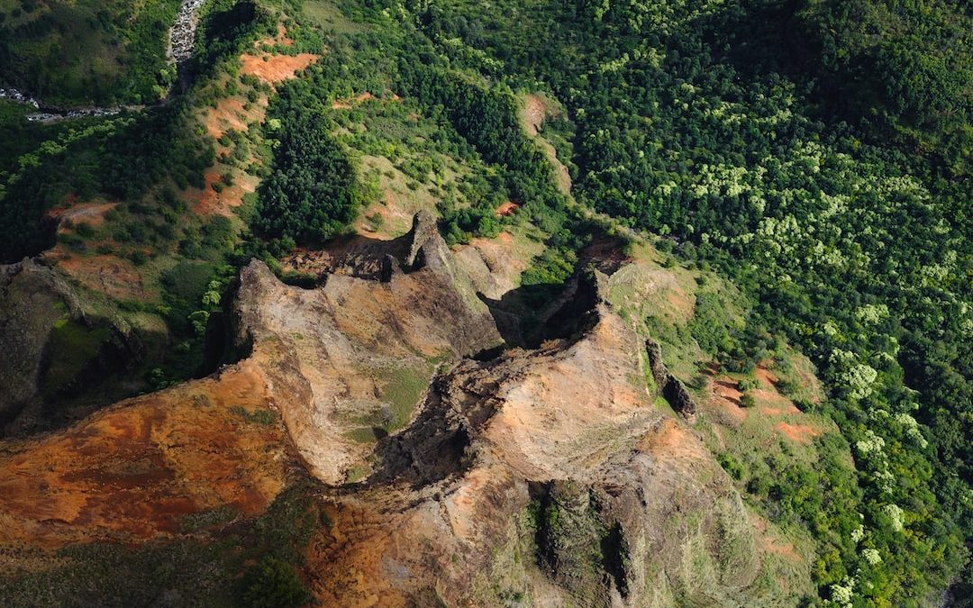 aerial view of mountains surrounded by trees