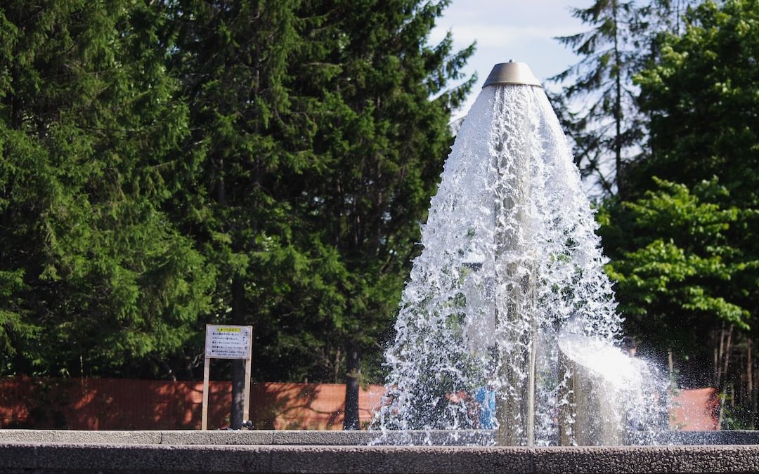 water fountain in the middle of the forest