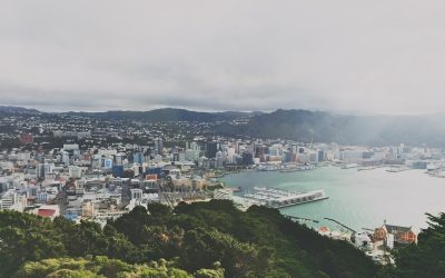 A Night Out in Wellington: Where to Go and What to Do