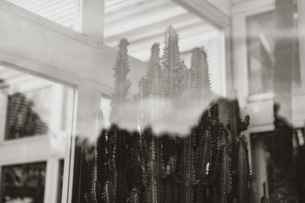 Romantic Dining in Winston Salem Best Restaurants for Couples