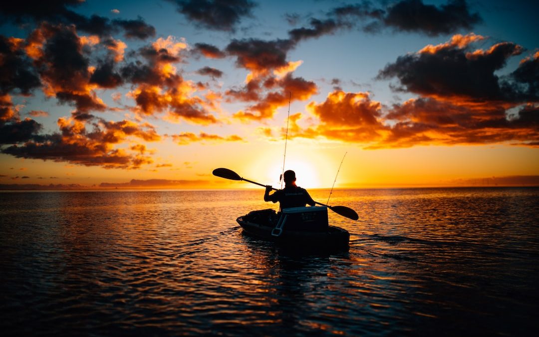 silhouette of person using boat