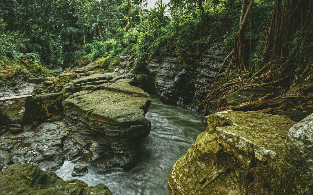 a large waterfall in a forest