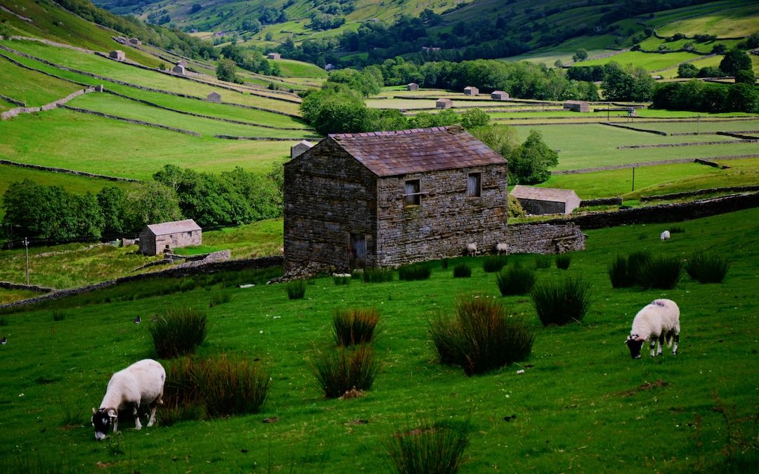 The Best Hiking Trails in the Yorkshire Dales