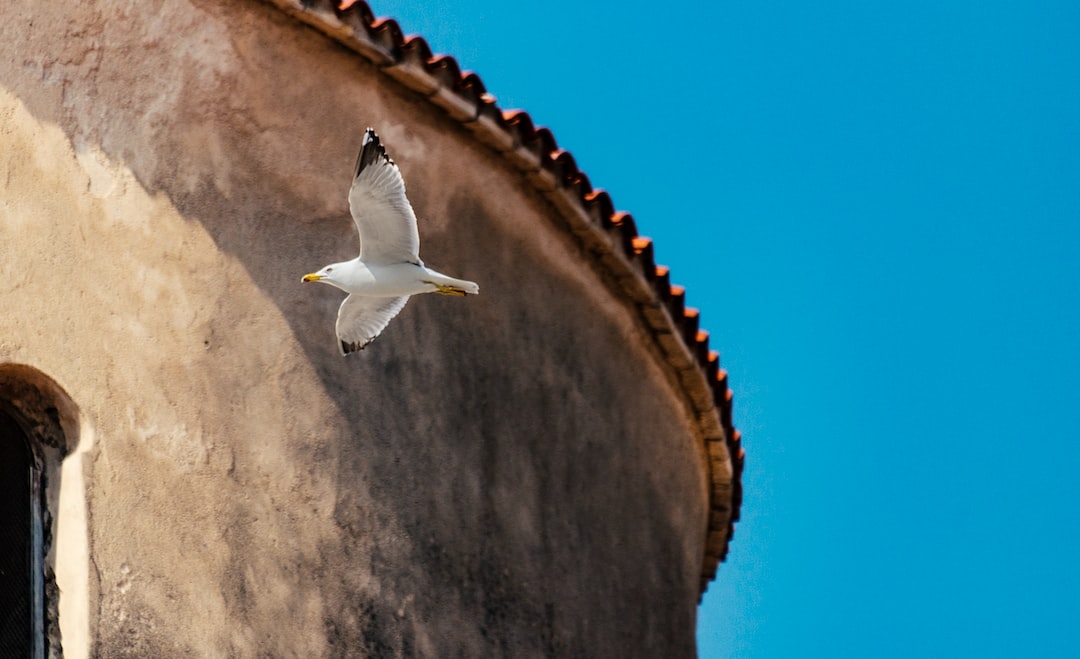 Exploring the Zadar Land Gate