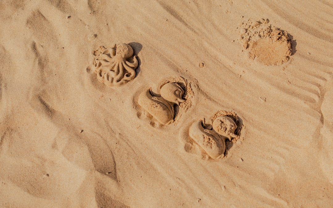 a group of footprints in the sand