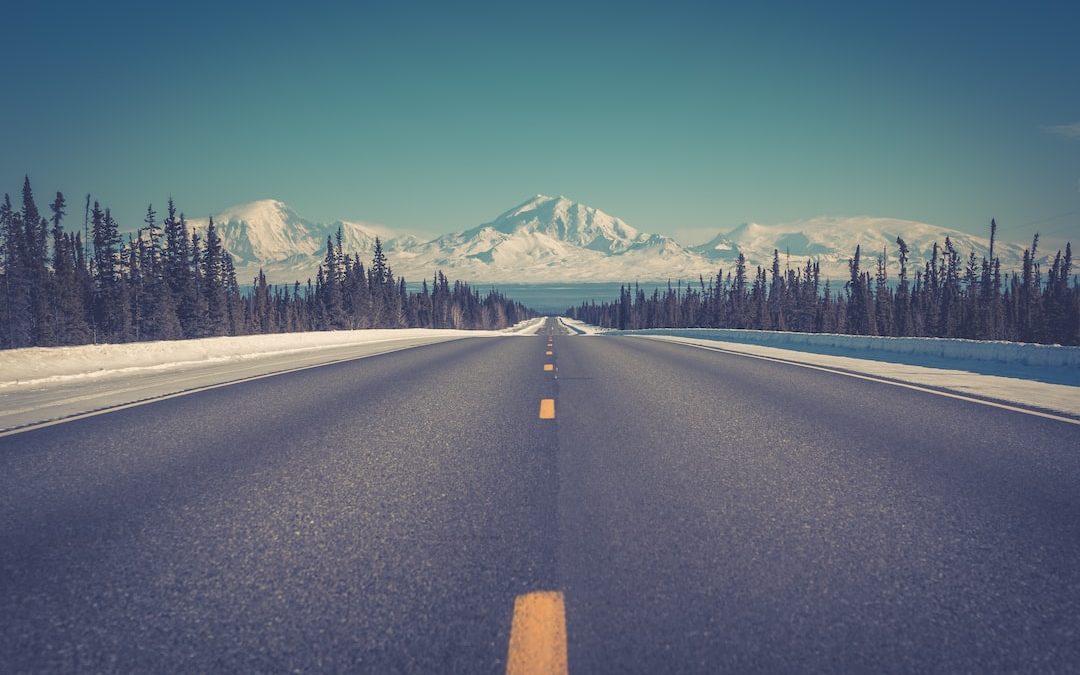 asphalt road between trees under blue clear sky during daytime