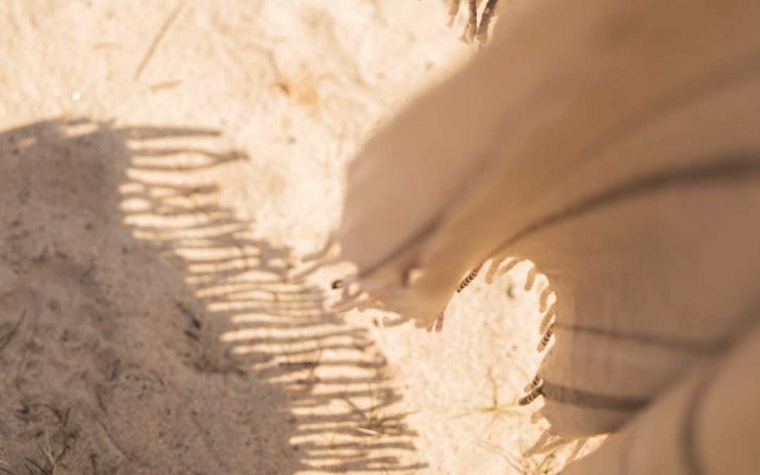 brown sand with white sand