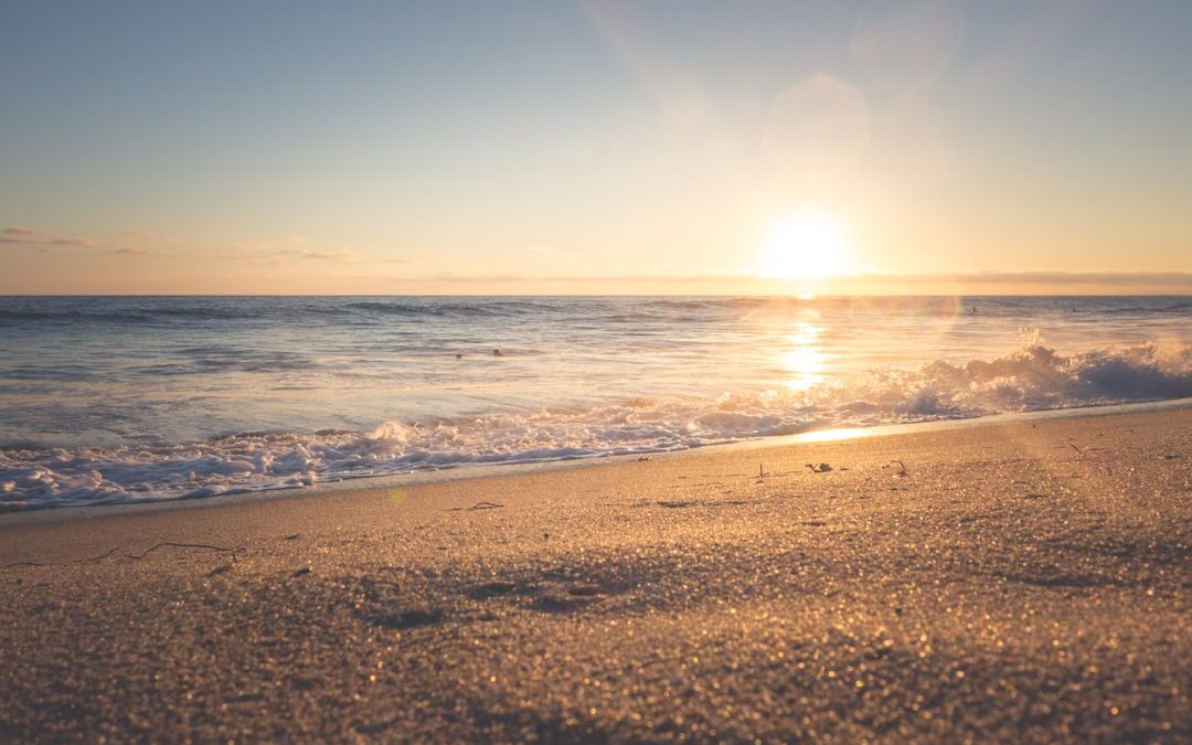 photography of seashore during sunset