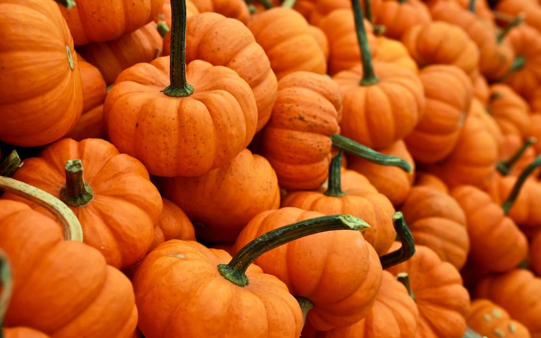 bunch of pumpkin