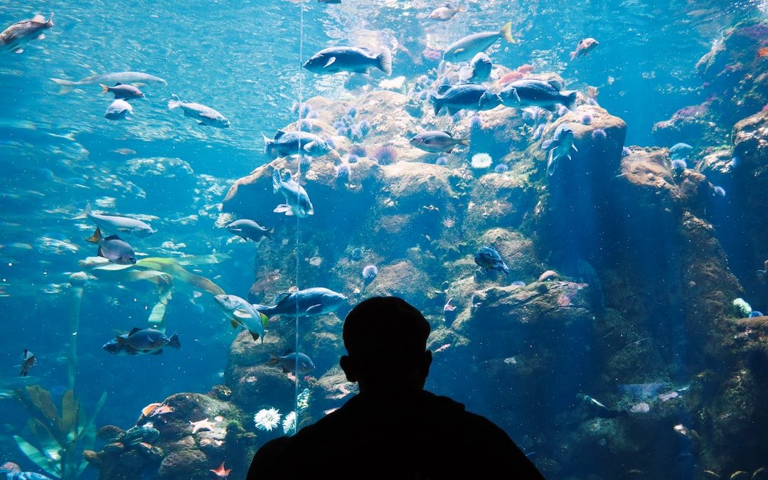 man standing in front of a big aquarium