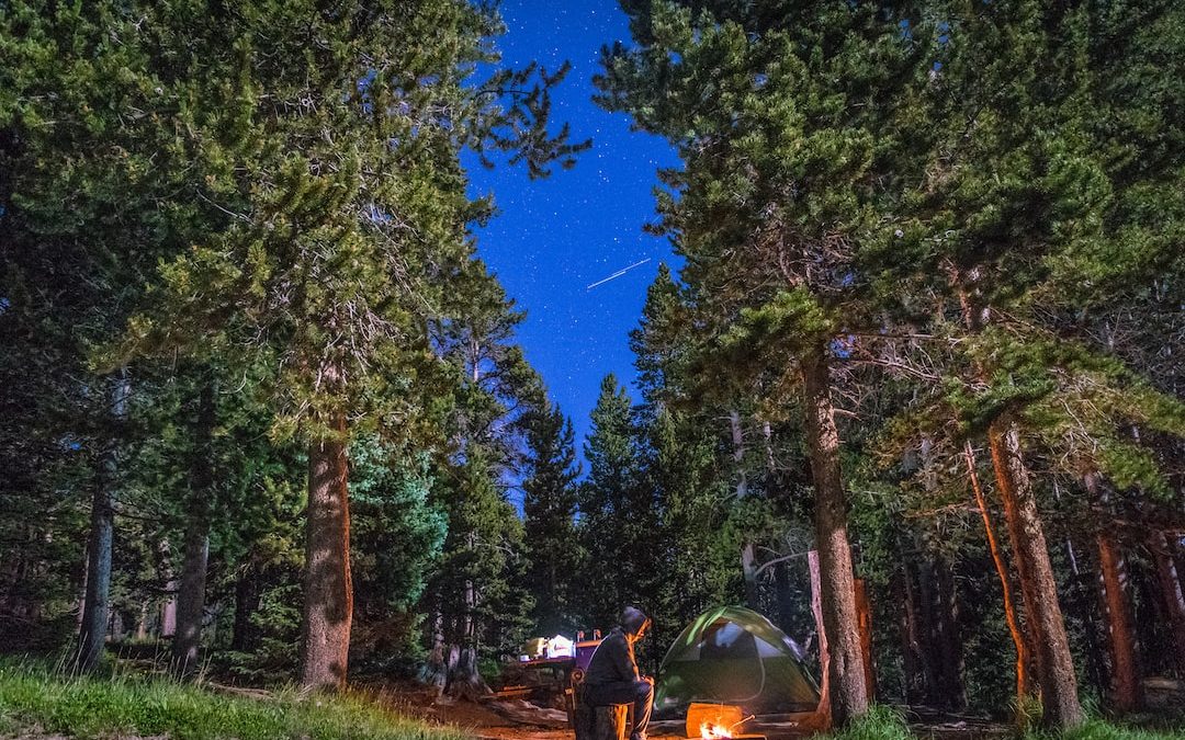 man sitting near bonfire and green tent in forest