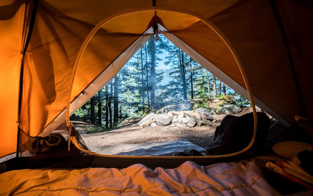 orange camping tent near green trees