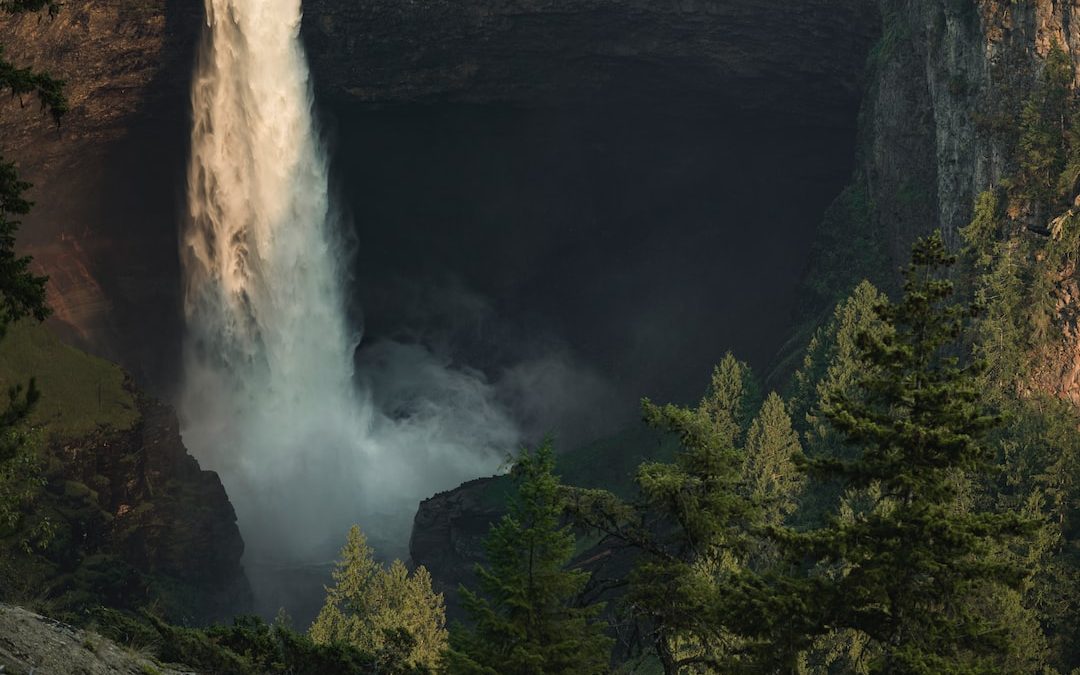 waterfalls beside trees