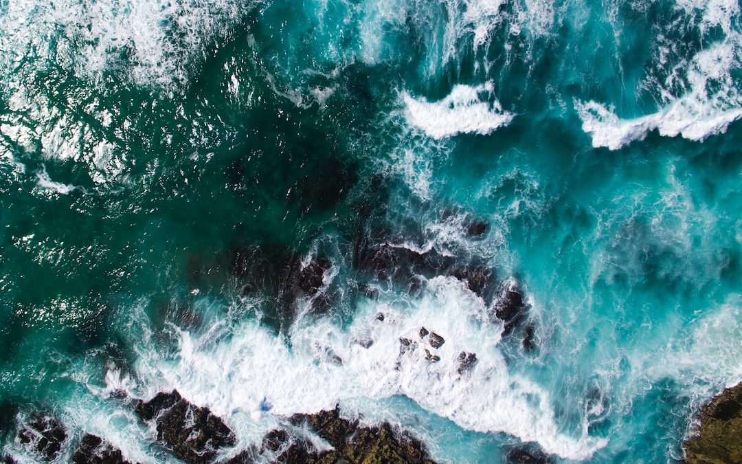 aerial photography of seashore waves