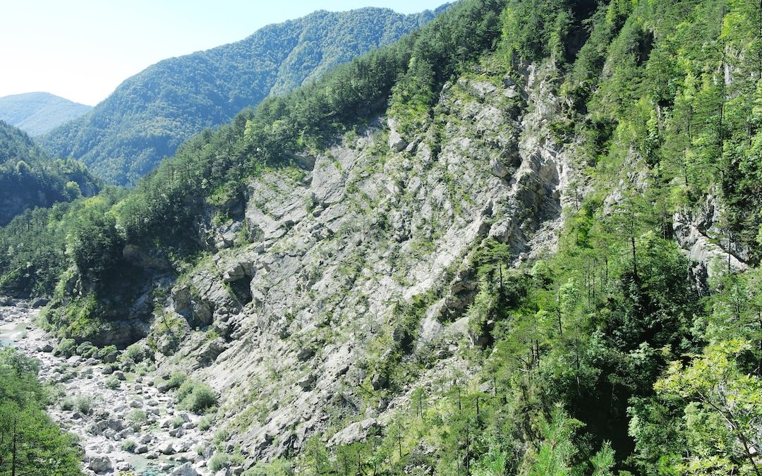 a rocky hillside with trees